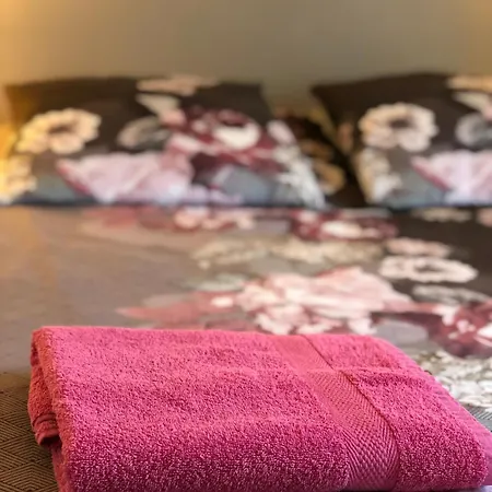 Maison De Centre-ville Au Calme Avec Jardin Et Parkings Casa vacanze *