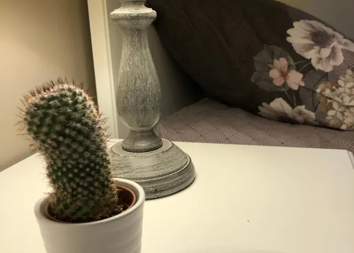 Maison De Centre-ville Au Calme Avec Jardin Et Parkings Holiday home