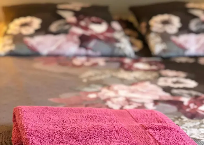 Maison De Centre-ville Au Calme Avec Jardin Et Parkings Holiday home *