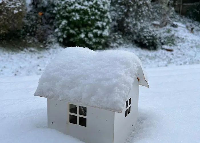 Maison De Centre-ville Au Calme Avec Jardin Et Parkings *